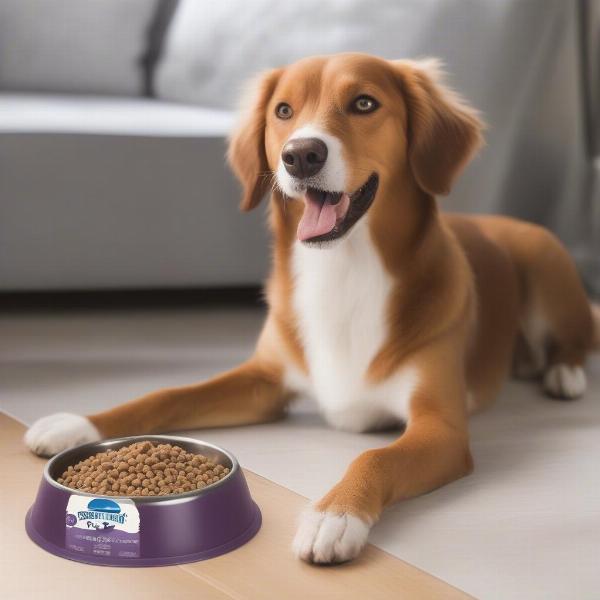 Dog Eating Diamond Sensitive Stomach Dog Food