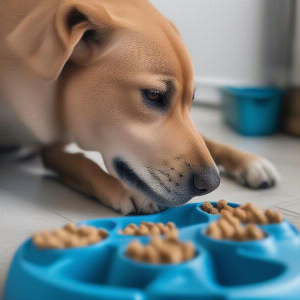 Dog eating from a slow feeder bowl.