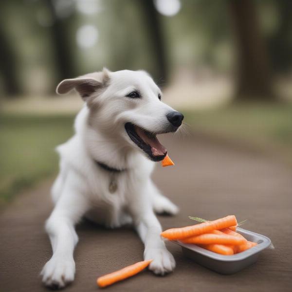 Dog Eating Healthy Treat