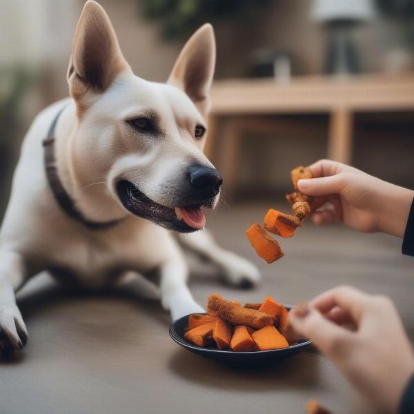 Dog Eating Healthy Treats