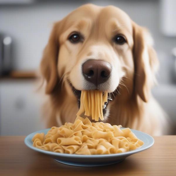 Dog happily eating dog shaped pasta from a bowl