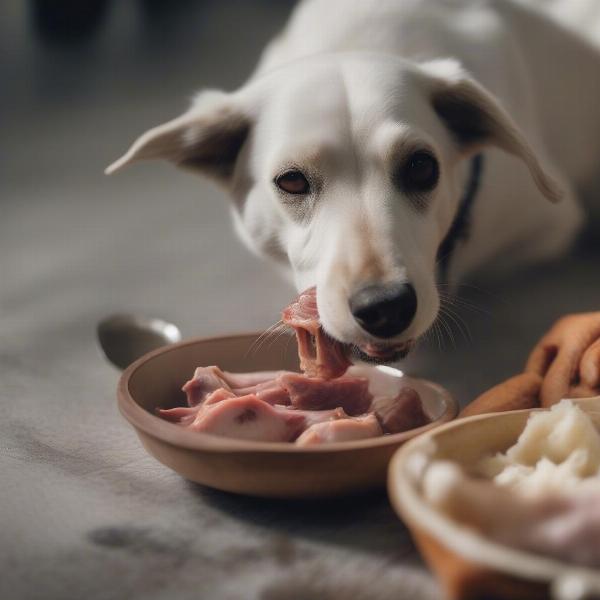 Dog Enjoying a Meal of Rabbit Meat