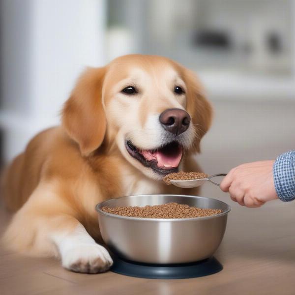 A Dog Enjoying Ranchers Choice