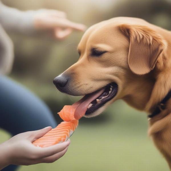 Dog Eating Salmon Treat