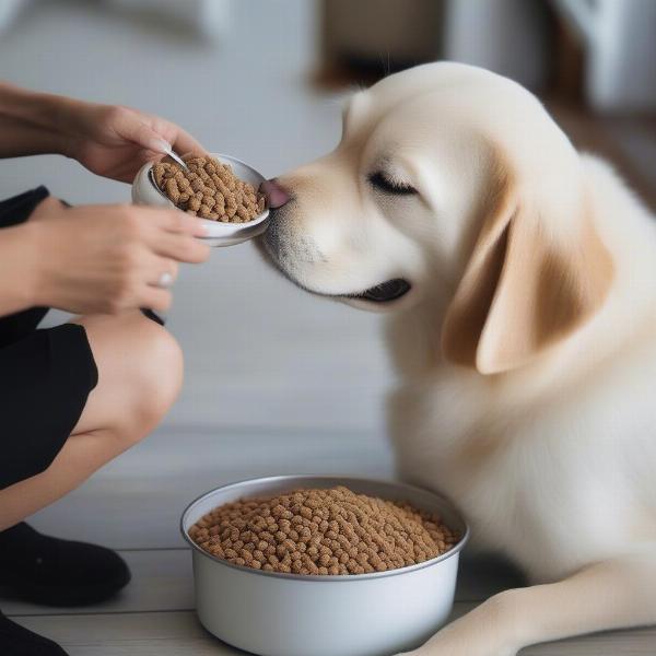 Dog Enjoying White Fish Food