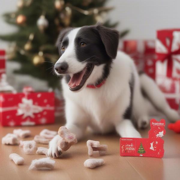 Dog Enjoying Advent Calendar Treat