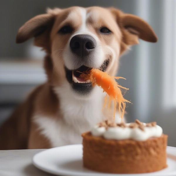 Dog enjoying carrot cake