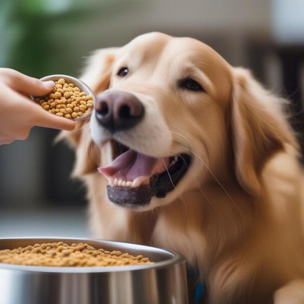 Dog enjoying food topper