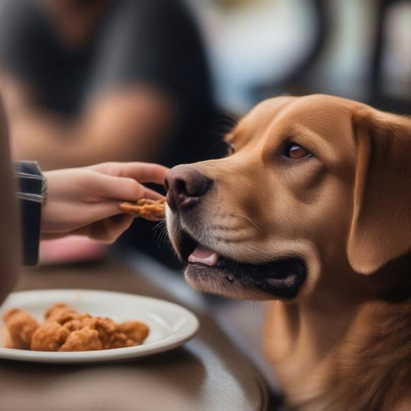 Dog enjoying a treat at a dog-friendly restaurant in Pensacola