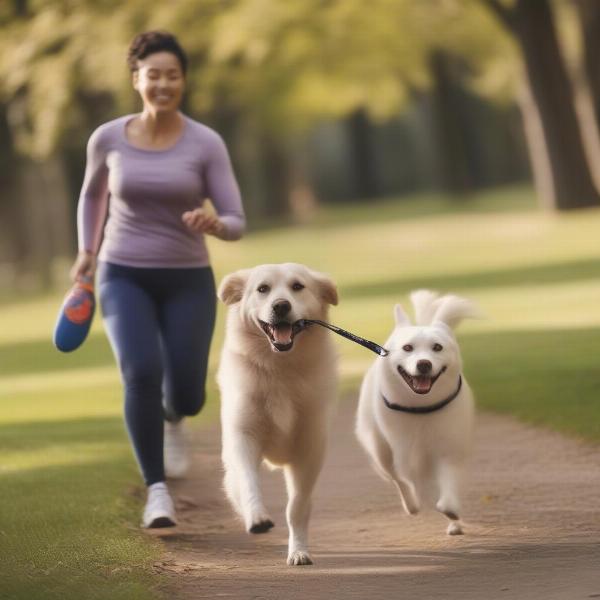 Dog Exercising with Owner