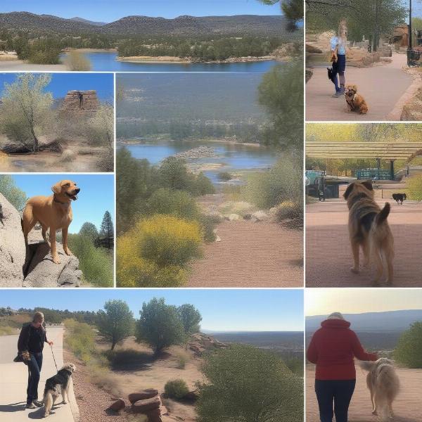 Dog-friendly activities in Prescott