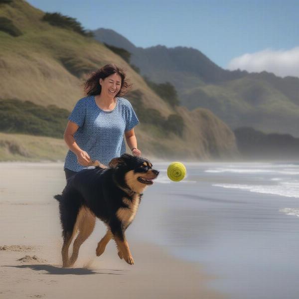 Enjoying dog-friendly activities in Whangarei