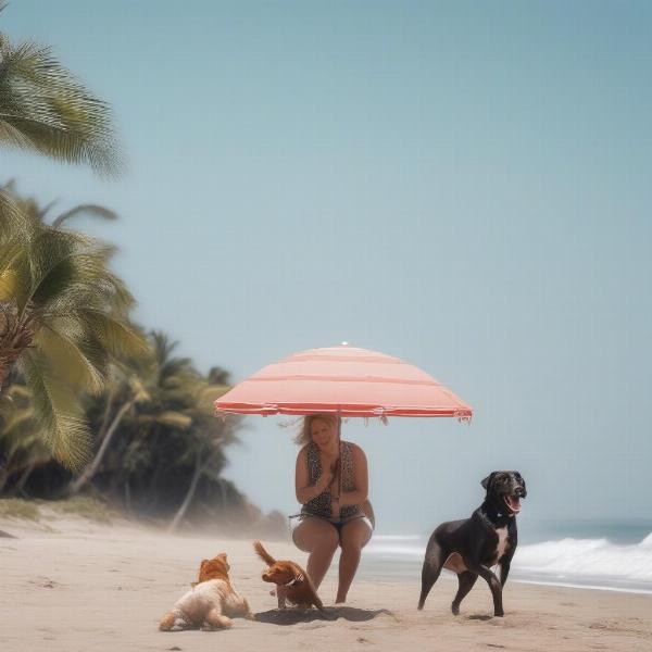 Fun activities to do with your dog at the beach