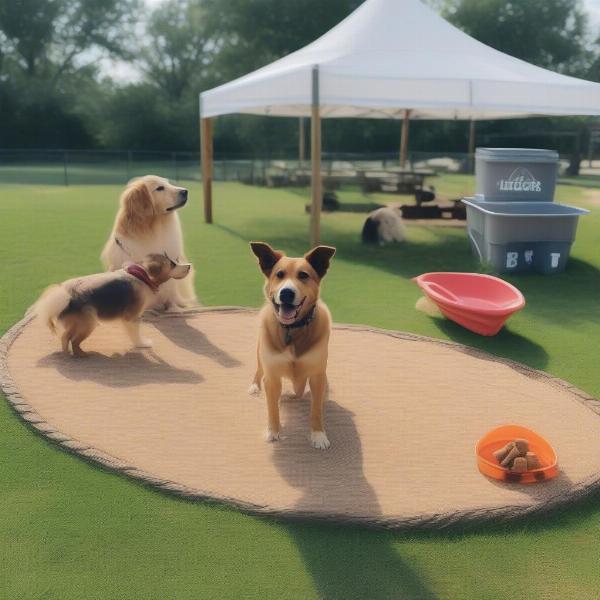 Dog-friendly amenities on a farm