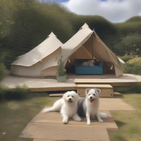 Dog-friendly glamping site in Cornwall with enclosed area