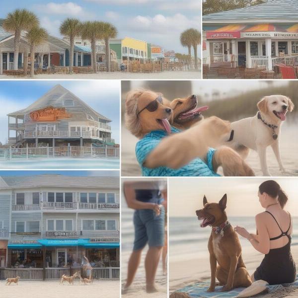 Dog Friendly Myrtle Beach