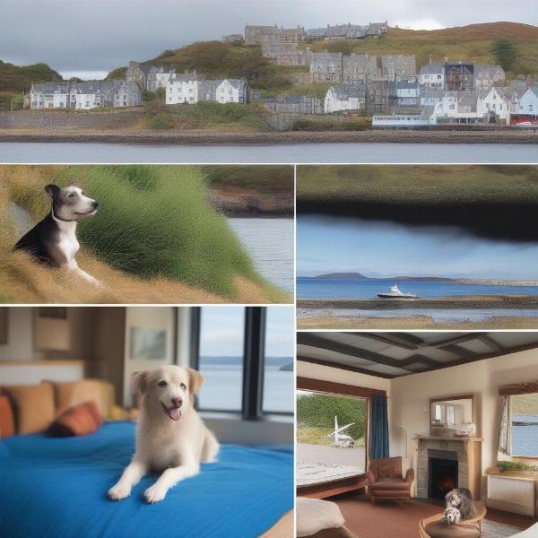 Dog-friendly hotels and cottages in Oban, Scotland