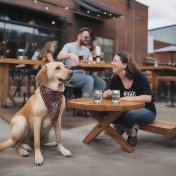 Enjoying a beer with a dog on a patio in Asheville