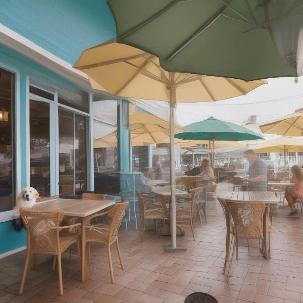 Dog-friendly patio in Destin, Florida with a dog enjoying a water bowl.