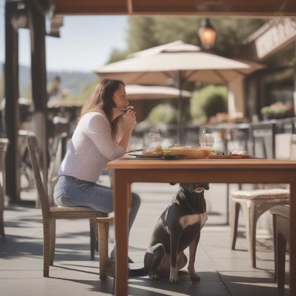 Dog-friendly patio dining in Napa.