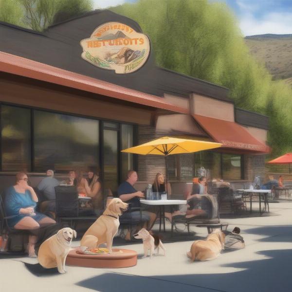 Dog-friendly patio in Golden, Colorado with water bowls and shade.