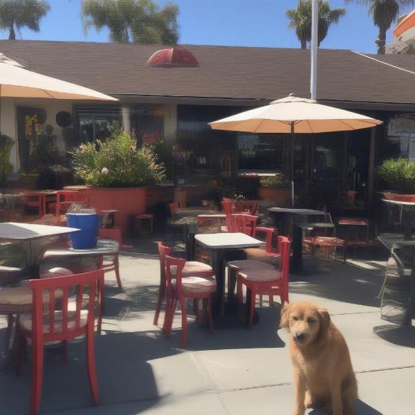 Dog-friendly patio in Oceanside