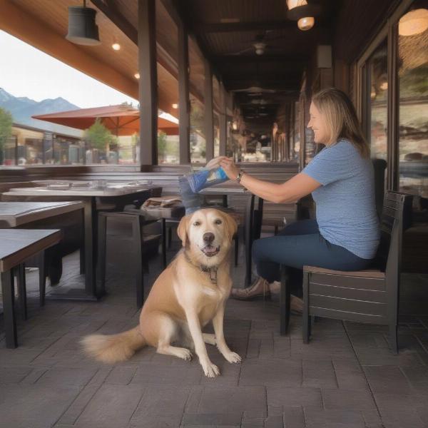 Dog-friendly restaurant etiquette in Jackson