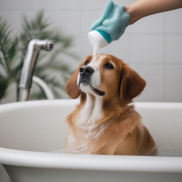 Dog Getting a Bath