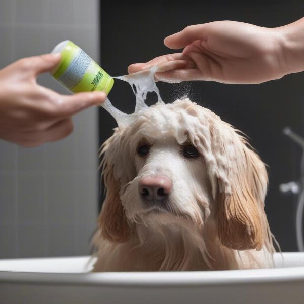 Dog Getting a Bath with Antibacterial Shampoo