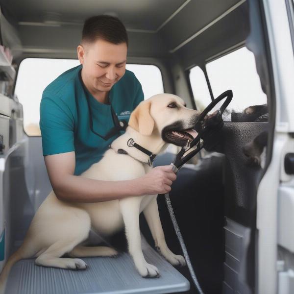 Dog getting nails trimmed inside a mobile grooming van