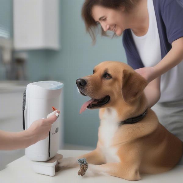 A dog getting accustomed to an ultrasonic tooth cleaner