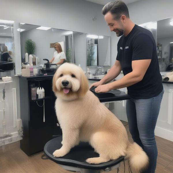 Dog groomer interacting with a dog