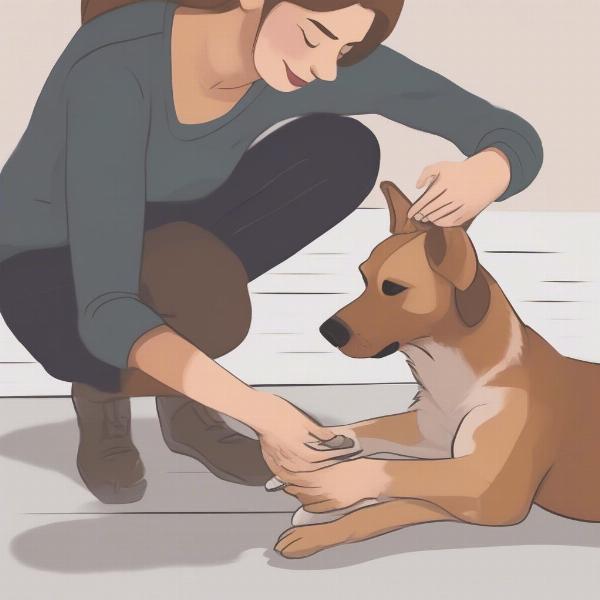 Preparing a Dog for Grooming