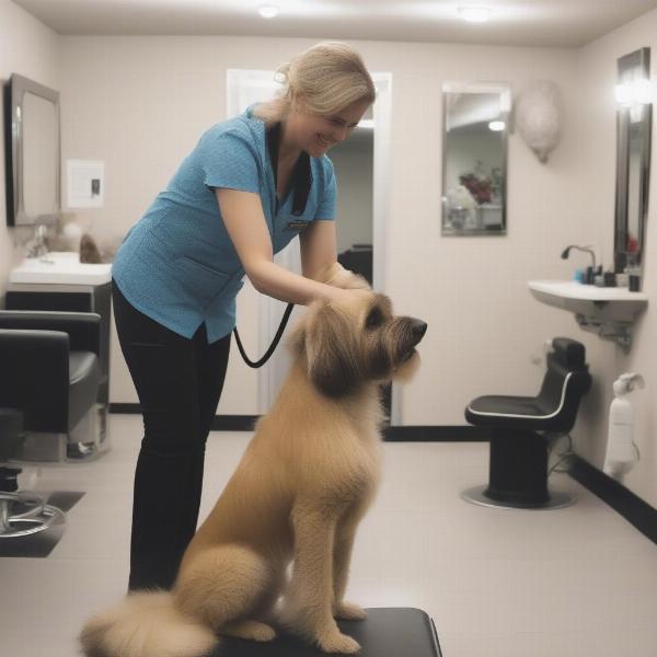 Clean and Welcoming Dog Grooming Salon in Whitby