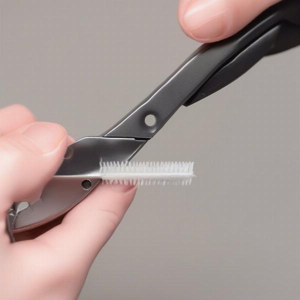 Maintaining Dog Grooming Scissors