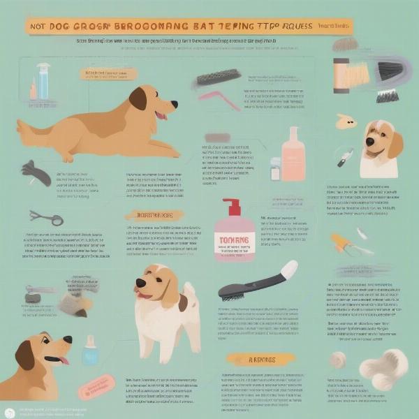 Tips for Grooming Your Dog