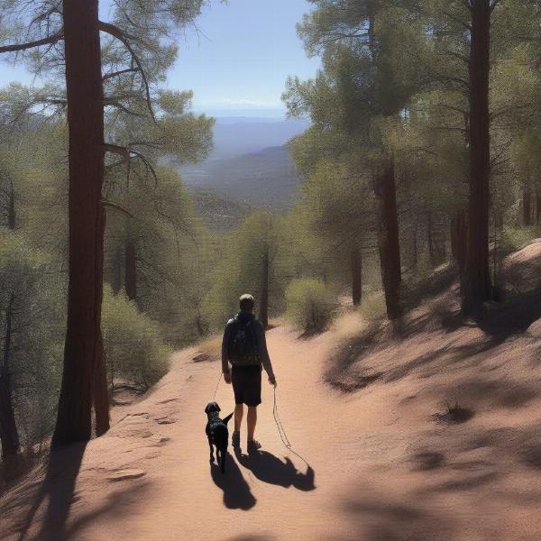 Dog Hiking Trails in Payson, AZ