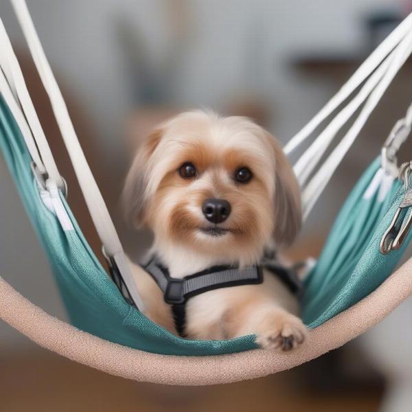 Dog comfortably secured in a grooming harness