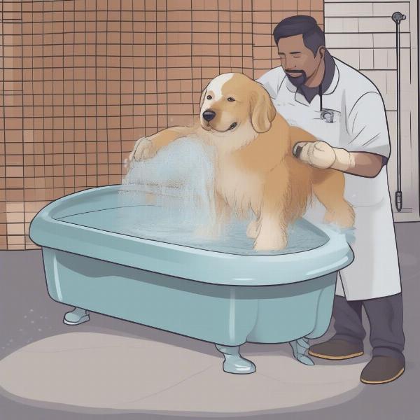 Dog in Hydrobath with Groomer