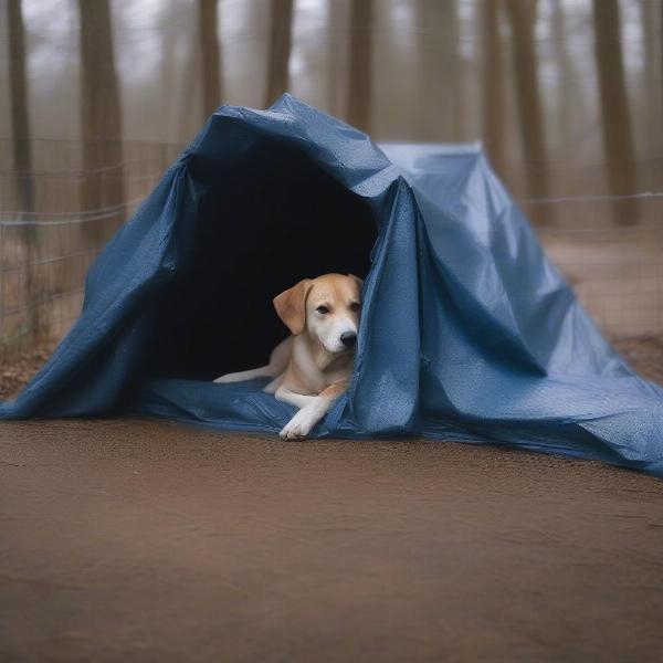 A dog comfortably resting in a kennel covered with a tarp