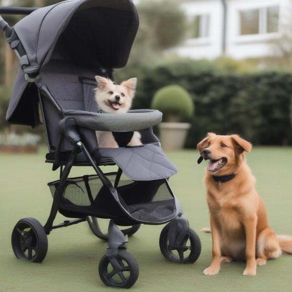 Introducing your dog to their pushchair should be a gradual and positive process, using treats and encouragement.