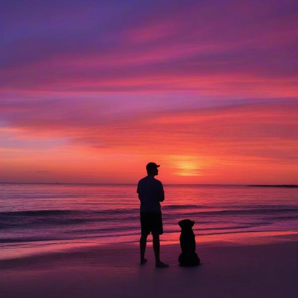 Dog enjoying the sunset on Dog Island beach