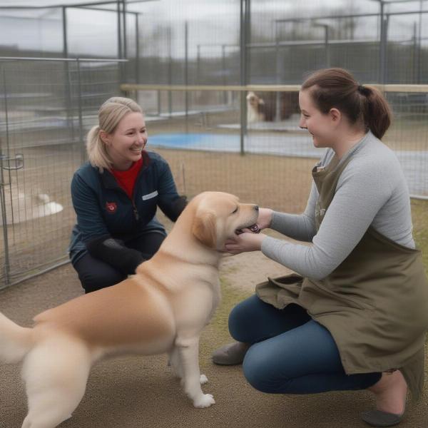 Dog kennel staff interacting with dogs in Inverness