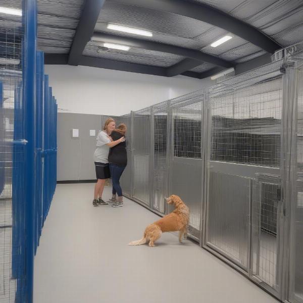 Dog kennels in Rock Hill, SC offer a variety of amenities and services.