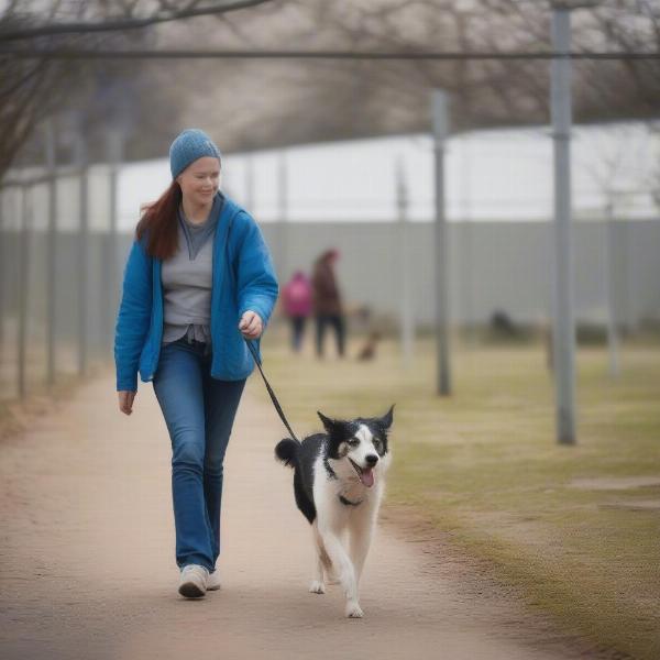 Dog Krazy Volunteer Walking Shelter Dog