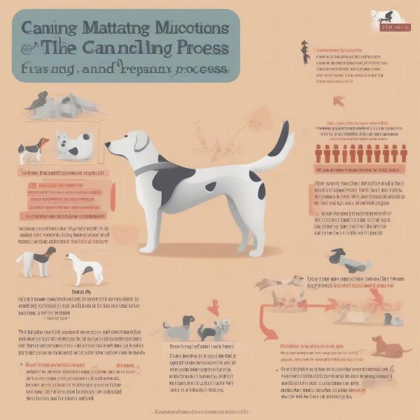 Common misconceptions about dog mating