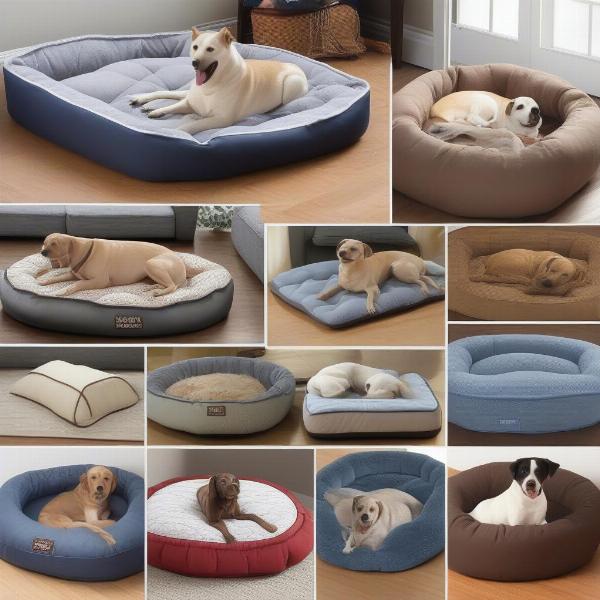 Different Dog Mattress Sizes and Shapes