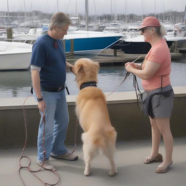 Dogs Meeting at the Marina