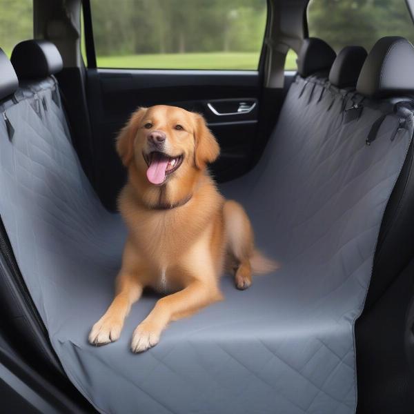 Dog Relaxing on Back Seat Car Cover