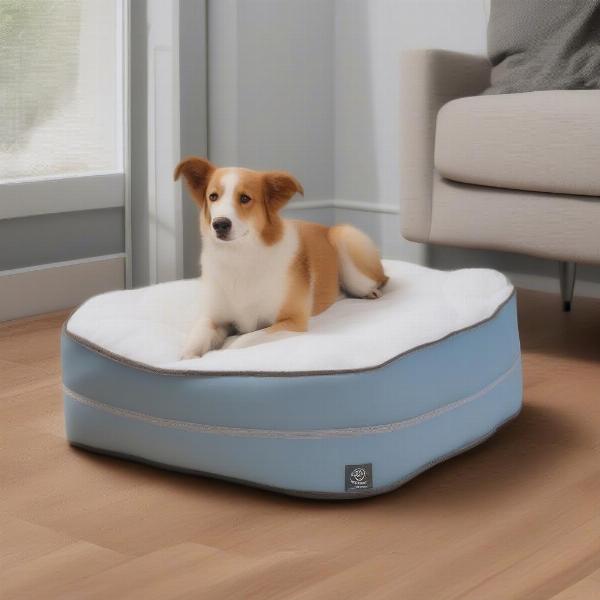 Orthopedic Dog Bed for Pressure Sore Prevention